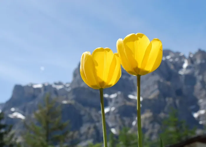 Διαμέρισμα Haus Cristal By Interhome *